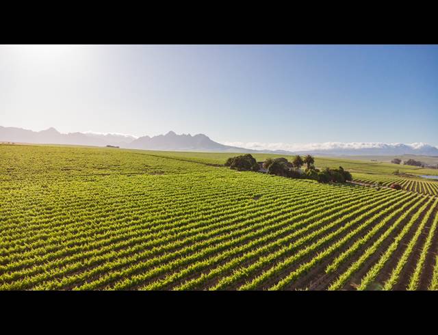 94HA FARM FOR SALE IN STELLENBOSCH FARMS